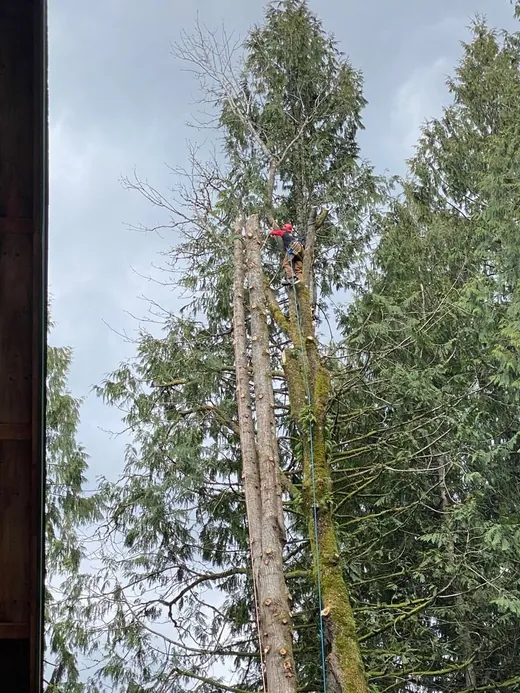 Rigging the top out in sections