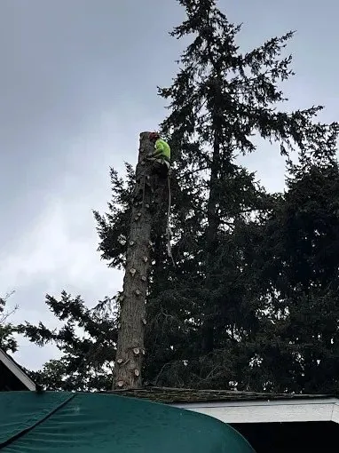 Spar right over the roofline
