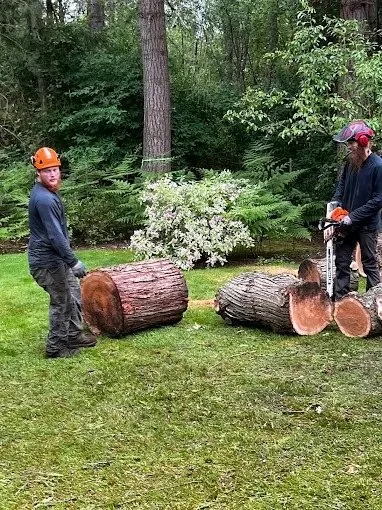 Rounds off the lawn by hand