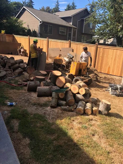 Grinder in behind the fence line